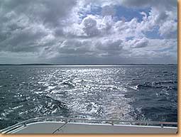 Auf dem Lough Ree